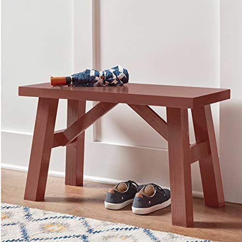 Krylon K05583007 Colormaxx Primer Spray Paint For Indoor/Outdoor Use, Red Oxide 12 Ounce (Pack Of 1) #TOP2