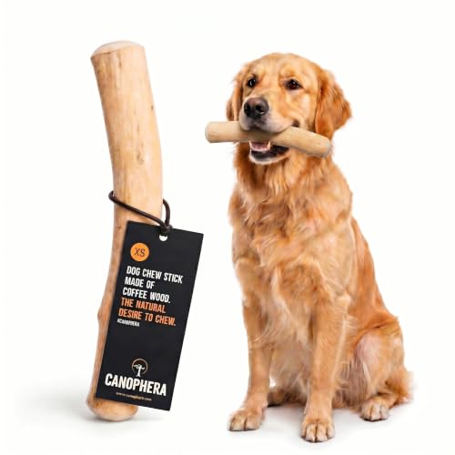 Canophera Coffee wood dog chew sticks for regular chewers - Size XS
