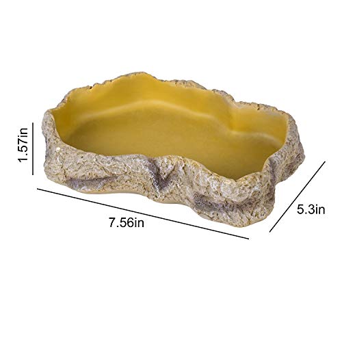 REPTIZOO Reptile Food Dish Terrarium Water Bowl Food Feeding Bowl for Reptile Amphibian Pets Snake Tortoise Frog Ball Python Leopard Gecko Bearded Dragon, Medium Size 5.3" x 7.6" x 1.6"