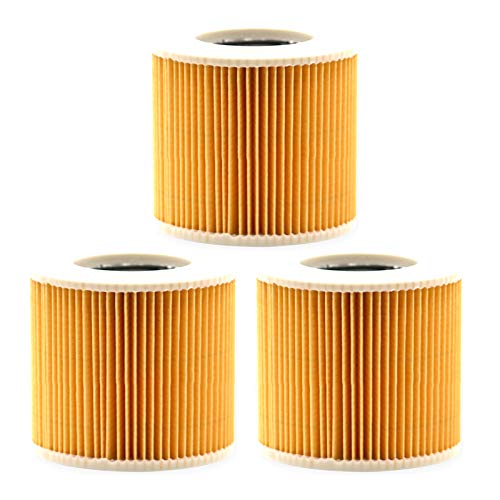 Patroonfilter Compatibel for Karcher stofzuiger WD3 Premium WD2 WD3 WD1 MV3 MV2 WD 3 P Uitbreidingsset tegen fijn stof (Size : Aa Patroonfilter Compatibel for Karcher stofzuiger WD3 Premium WD2 WD3 WD1 MV3 MV2 WD 3 P Uitbreidingsset tegen fijn stof (Size : Aa