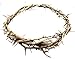 CROWN OF THORNS BETHLEHEM JERUSALEM HOLY LAND aprox 7.5 " diameter Zuluf Store HLG027