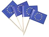 JBCD EU Flagge, europäische Flaggen, 100 Stück Cupcake-Topper, Flagge, Länderflagge, Nationalflagge, kleine Mini-Flaggen, Picks, Party-Dekoration, Feier, Cocktail, Essen & Kuchen Flaggen