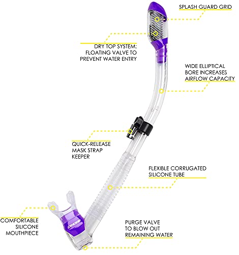 Pano 3 & Supernova Dry (Clear/Purple) #TOP1