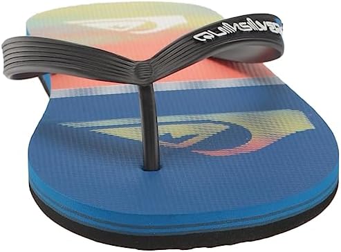 Quiksilver Men's Molokai Swell Vision Flip Flop Sandal Review | Image 1