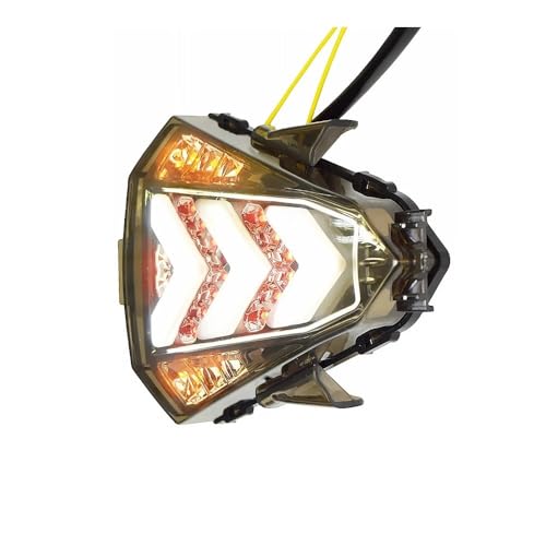 Feu arrière de moto à LED pour YZF-R15 2014-2016 avec clignotants et feux de freinage