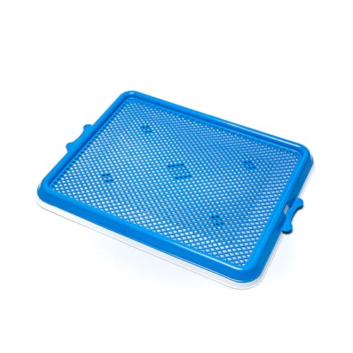 Pet Injet Sanitario Hig.Xixi Pets Premium-Azul Para Cães