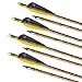 S F Outdoors Carbon Crossbow Arrows 12-Pack, Carbon Crossbow Bolts for Hunting and Target Practice