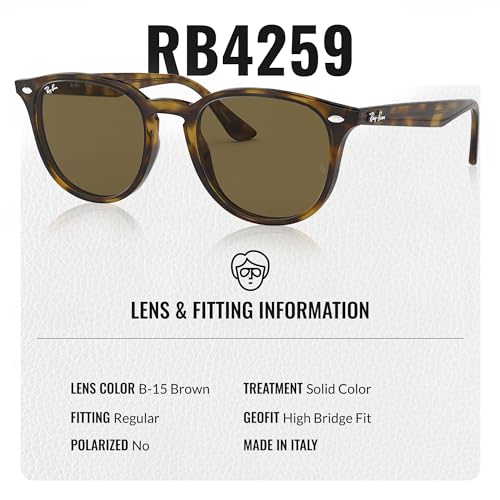 Ray-Ban RB4259 Phantos Shaped Sunglasses for Men & Women with Official RAYBAN Eyewear Kit4