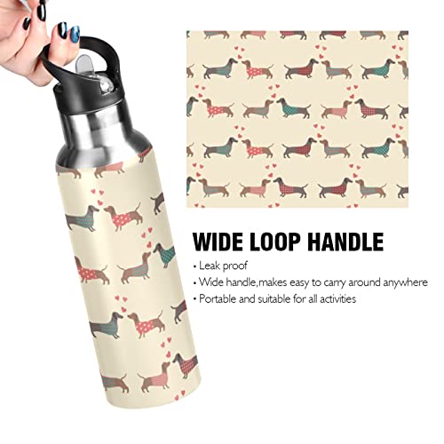 xigua Water Bottle with Straw Lid Leakproof Vacuum Insulated Stainless Steel Dachshund Dogs Pattern Sport Water Bottles 20 oz - Image 4