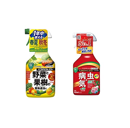 yZbgzZFw| E xjJxWtXv[ 1000ml & EEۍ xjJXt@CXv[ 1000ml