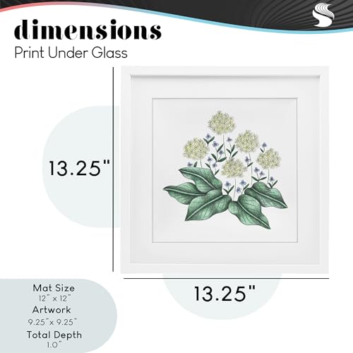 Impression Hello Wildflower Stupell : croquis vintage pour mur vide