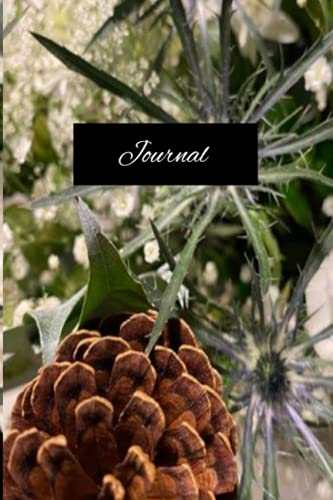  Journal: Journal