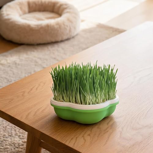 helilyco soilless microgreens - kit per la coltivazione di microgreens con barattoli e coperchi per germogliare, vassoio per erbe aromatiche da giardino, cucina, casa, nero