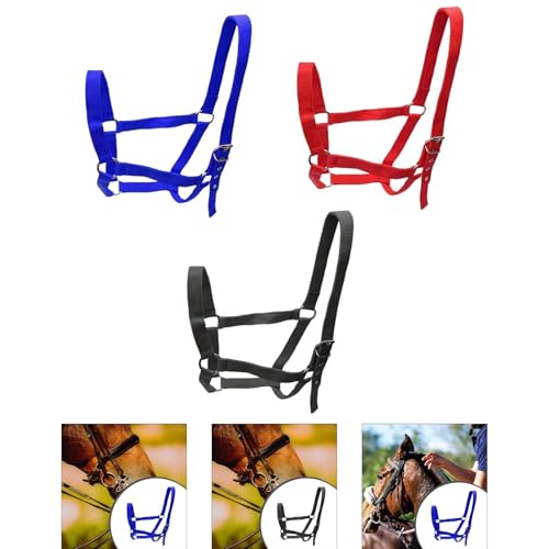Licol pour chevaux de concours avec ajustement ergonomique gorge et menton