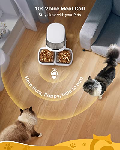 Garfeur Automatic Cat Feeders, Pet Food Dispenser With Memory Function, 21Cups/5L Timed Cat Feeder For Two Cats, 48 Portions 6 Meals Per Day For Cat And Dog, 2023 Upgrade #TOP3