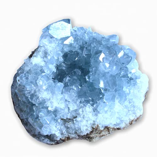 Steinfixx - Cristal de coelestin de qualité supérieure I Celestine,Pierre précieuse I Lithothérapie I Cluster I étincelant I Madagascar (100-150) Bleu Ciel