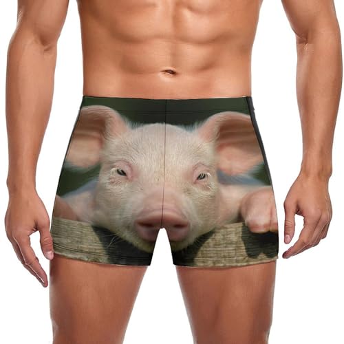 Slip de bain cochon pour homme, maillot de bain et boxer de natation
