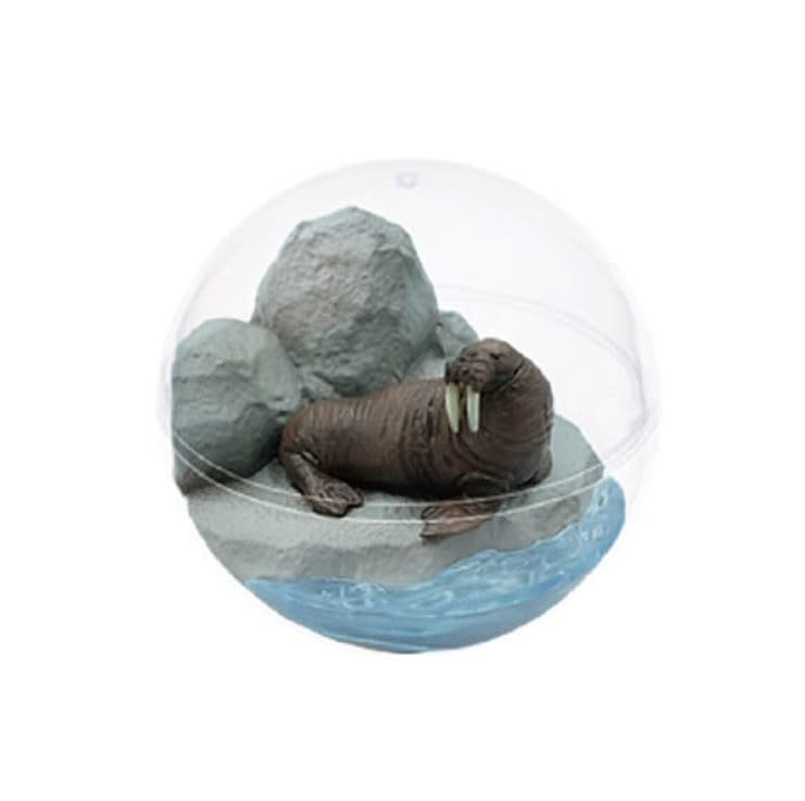 Amazon.co.jp: セイウチ カプリウムコレクション 海洋生物