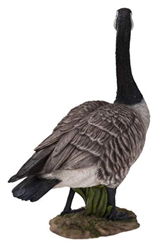 Hi-Line Gift Standing Canada Goose Statue, Grey/Natural #TOP4