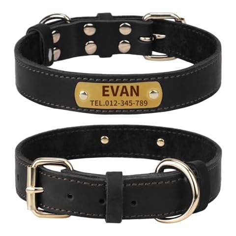 Collier en Cuir Personnalisé TagME Cover