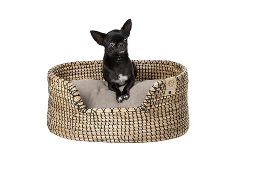 MISSLOTO Cama Perro - Cama Perros Pequeños - Cama para Perros Pequeños - Cama Perro Pequeño - Cama de Perro - Cama Ortopedica para Perros - Cama Viscoelastica para Perros - Cama Perro Impermeable