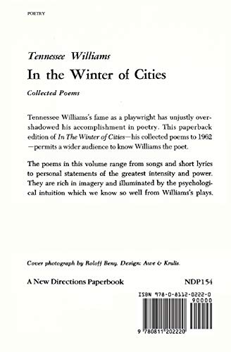 In the Winter of Cities: Poetry - Image 2