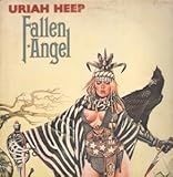  FALLEN ANGEL LP (VINYL) UK BRONZE 1978