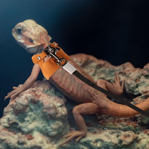 Image of Gosknor Bearded Dragon Harness and Leash Set, 3 Sizes Super Leather Vest with Retractable Rope, Brown