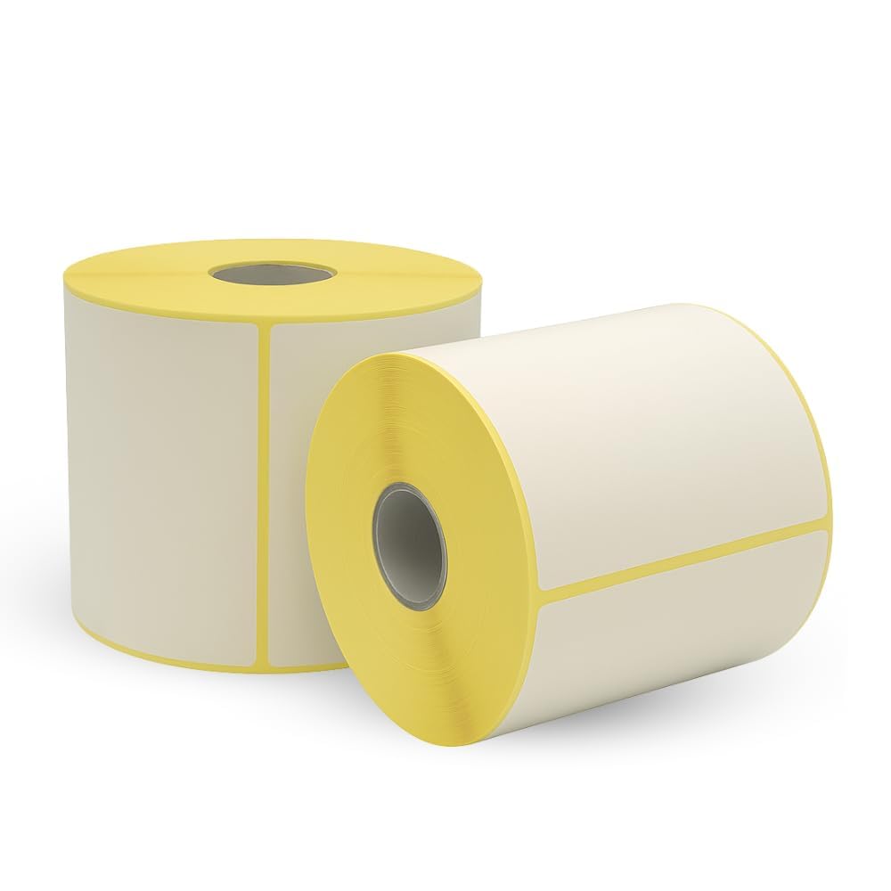 Palucart 15 rotoli da 500 etichette termiche misura 100 x 100 foro 40 mm 7500 pezzi in totale - M