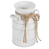Vase en fer : le vase en métal rétro présente un design d'apparence rétro et classique, qui est pratique et plein de style de décoration vintage, vase de table