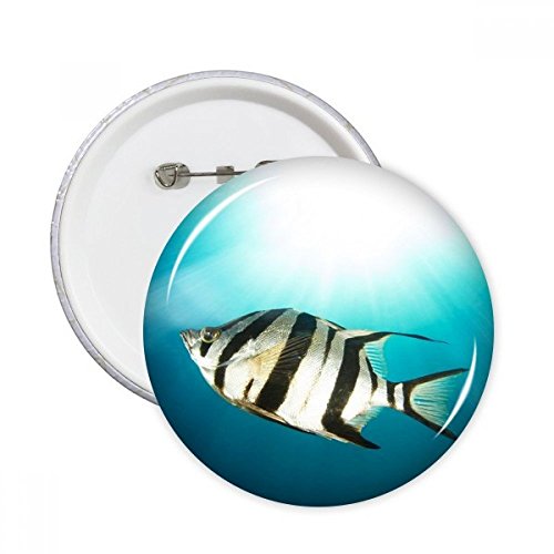 Badge Poisson tropical DIYthinker bouton rond multicolore taille L pour décoration de vêtement