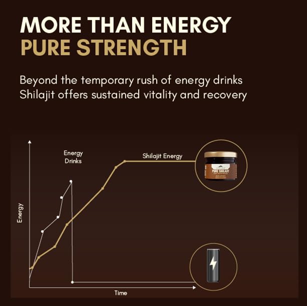 Rasayanam Pure Himalayan Shilajit Resin | Highly Purified with 75% Fulvic Acid & 80+ Trace Minerals | Supports Energy, Stamina, Strength & Recovery | 20 gm 1