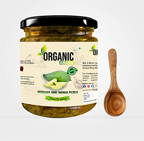 Image of Anand Organic Homemade Seedless Hing Mango Pickles 500gram Oil-Free Traditional Khatta Aam ka Achar, No Preservative