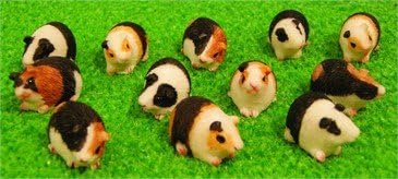 1:12 Scale Dolls House Miniatures 12 Assorted Guinea Pigs DA015