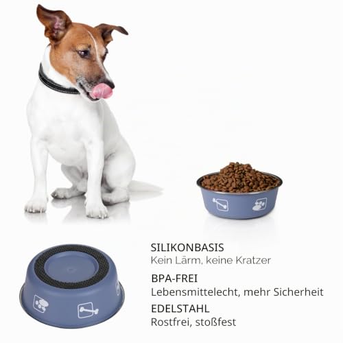 FrutPunch Hundenapf Edelstahl 2er-Set, Futternapf Hund mit Rutschfester Silikonbeschichtung, Fressnapf Hund Welpennäpfe für mittelgroße Hunde, 980ml