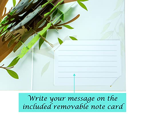 Koala Family - 3D Pop Up Greeting Card For All Occasions - Love, Birthday, Christmas, Father Day, Mother Day, Good Luck - Message Note For Personalized - Amazing Gift - Thick Envelope, Fold Flat #TOP5