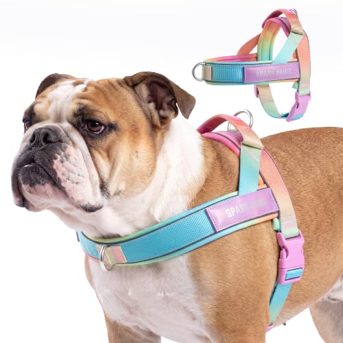Image of Spark Paws No Pull Front Clip Dog Harness - Easy On, Padded and Lightweight | Two Clips, On in Seconds, Chest Bearing, Australian Style, No Throat Pressure, for Small Medium and Large Breeds