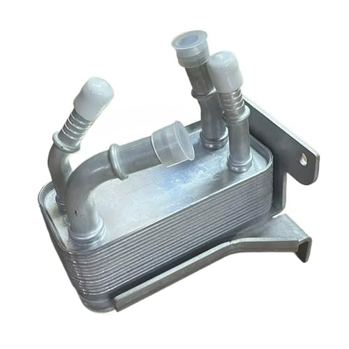 Refroidisseur d'huile de transmission pour Ford Ecosport 2018 1.0T H6BG7J389AC