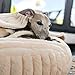 EDEL&SCHNELL Hundebett Bezug aus Nerz Kunstfell, Hundebettbezug 90 cm beige mit Kapuze, Ersatzbezug für Hundebett Flocke, Cosybed, Hyggebed