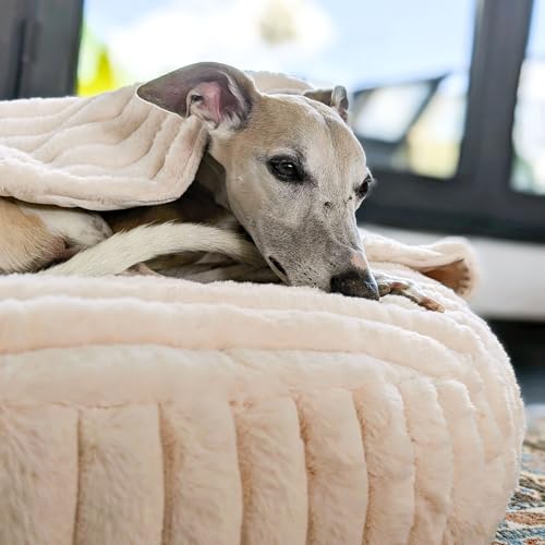 EDEL&SCHNELL Hundebett Bezug aus Nerz Kunstfell, Hundebettbezug 90 cm beige mit Kapuze, Ersatzbezug für Hundebett Flocke, Cosybed, Hyggebed