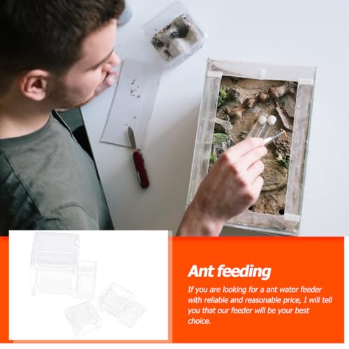 HAPINARY 2Stücke Transparente Ameisenfütterungsboxen Sichtbarer Futterbehälter für Ameisen Wassertränke und Futterspender für Ameisenfarm und Ameisennest Zubehör für Ameisenhaltung
