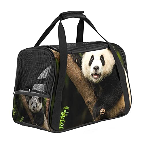 Bennigiry, trasportino per animali domestici, approvato dalla compagnia aerea, per cani e gatti, sicuro e portatile, per cani e gatti