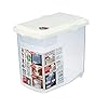 JapanBargain 1826, Japanese Large Rice and Pet Food Storage Container, Ideal for Dry Food, Dog Food, and Cat Food, 22 lbs Capacity, 1-Pack