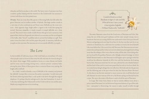 Image of Enchanted Plants: A Treasury of Botanical Folklore and Magic