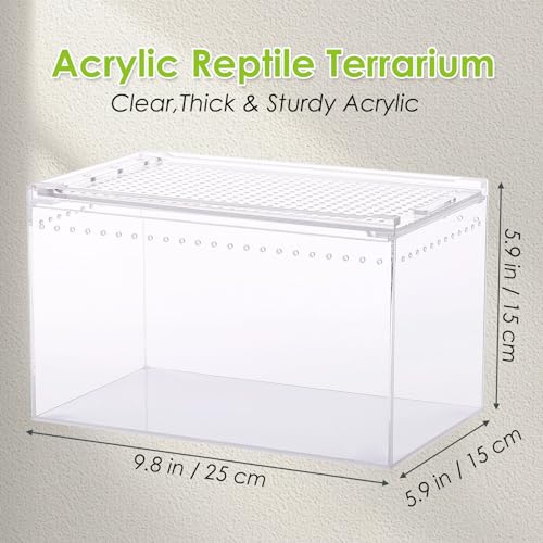 Apatal KA012 Acrylic Reptile Terrarium Enclosure 9.8 Inch X 5.9 Inch X 5.9 Inch Magnetic Tarantula Breeding Box Transparent Insect Habitat thumb #1