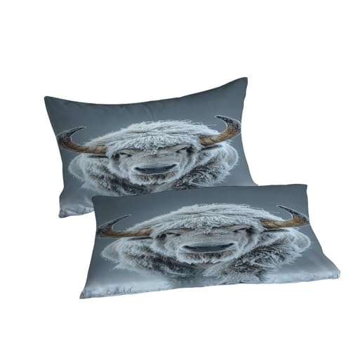 Housse de couette égyptienne microfibre de qualité supérieure parure lit