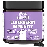 Whole Fruit Elderberry Gummies for Kids, No Added Sugar, Sweeteners or Synthetics; Organic + Vegan; Vitamin C, Zinc, Beta Glucan Immune Support for Children; 60 Gummies (30 Days)