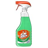 Mr Muscle Window and Glass Spray, 500ml