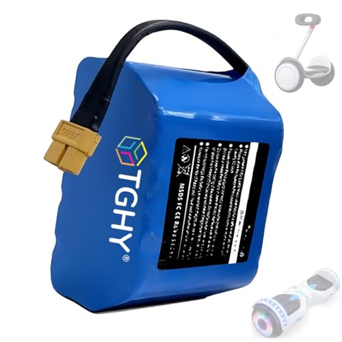 TGHY 24V Elektro-Scooter-Lithium-Ionen-Akku-Ersatz 25,2V 4Ah Hoverboard-Akkus mit integriertem BMS-Schutzschaltkreis für Skateboards und Balance-Cars mit Motoren bis 100W.