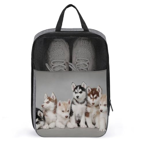 V[YobO ʔ nXL[ V[Y jp C C V[YP[X   hhL hho y gѕ֗ o s AEghA